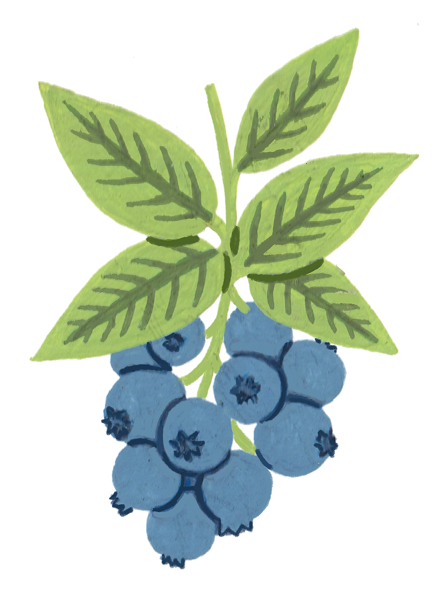 Thumbnail for blueberries