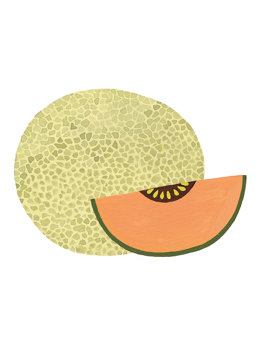 Thumbnail for cantaloupe melon