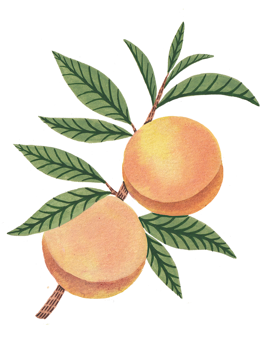 Thumbnail for peach