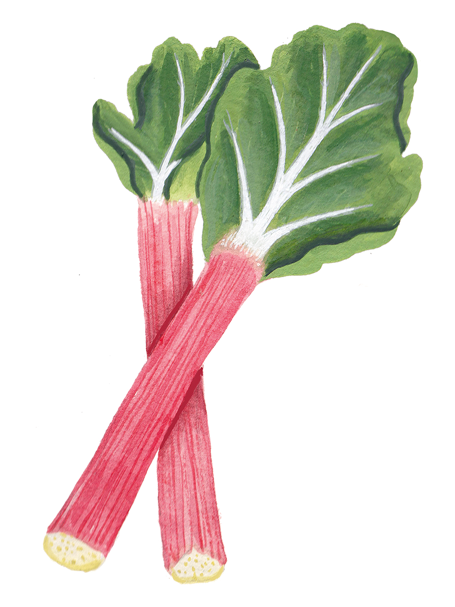 Thumbnail for rhubarb