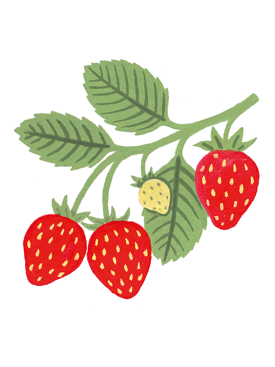 Thumbnail for strawberries