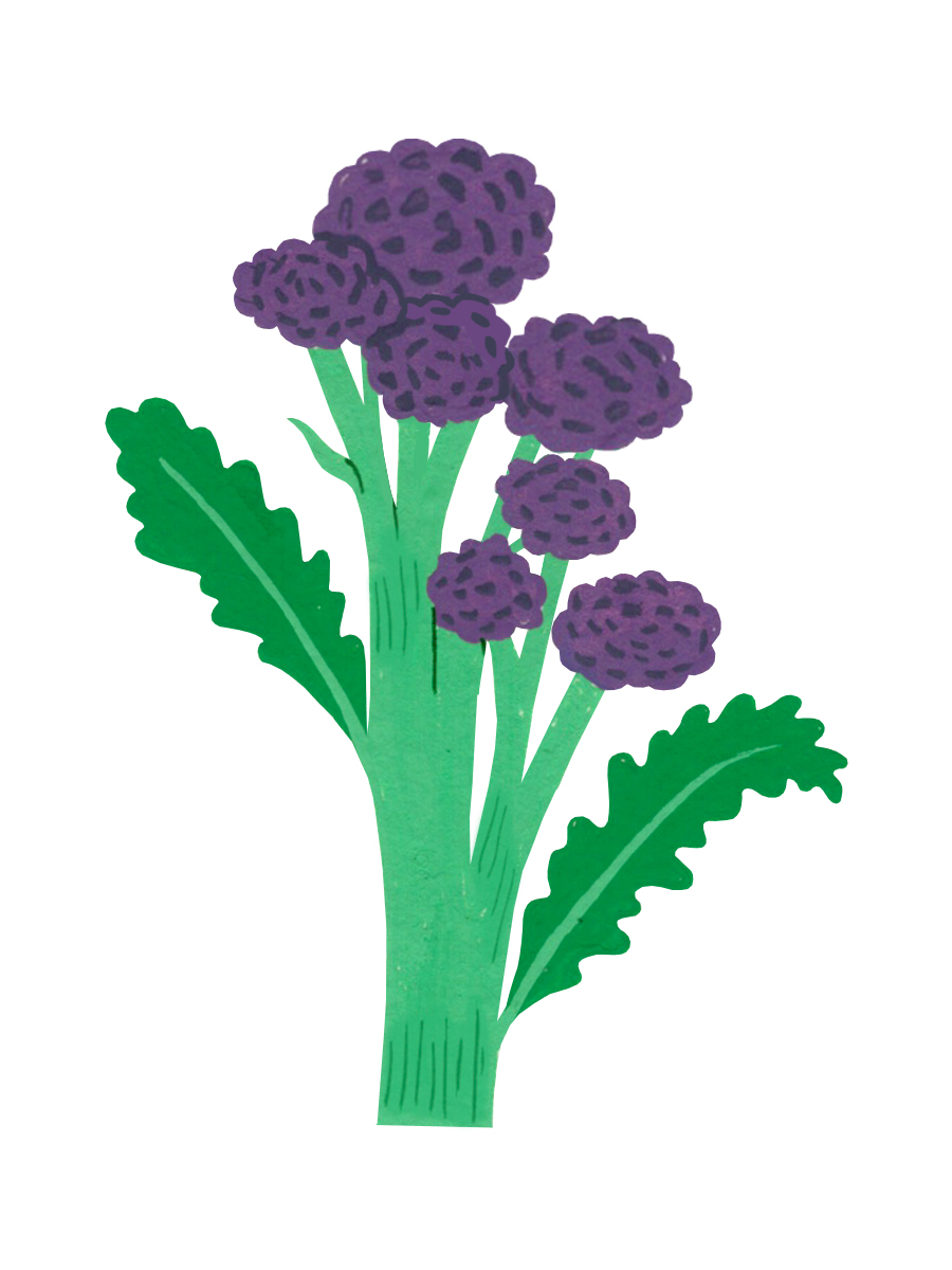 Thumbnail for purple sprouting broccoli